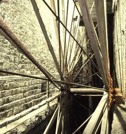 Shed End